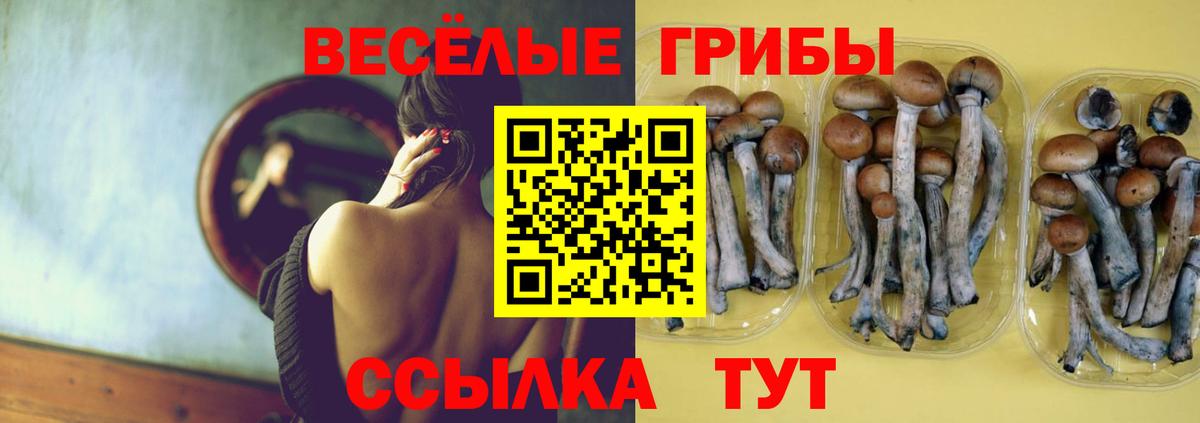 Звенигород  Галлюциногенные грибы ЛСД  наркотики  Вход с VPN 